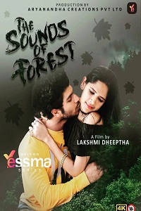 The Sound of Forest