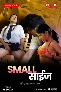 Small Size poster