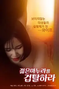 Rape The Young Wife poster