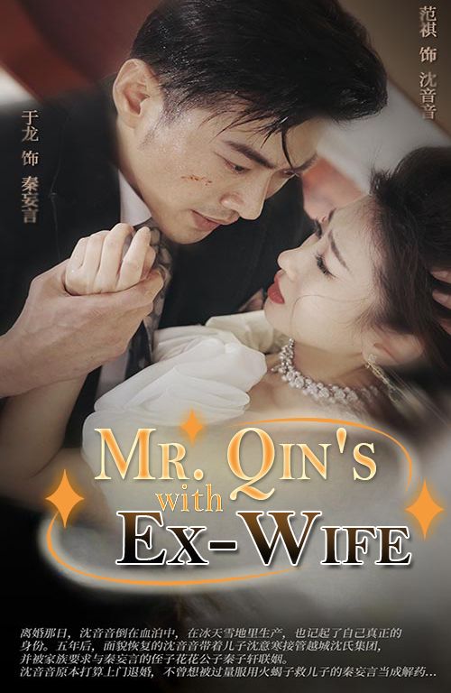 Mr. Qin's Wild Ex-Wife poster