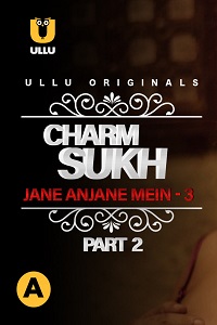 Charmsukh: Jane Anjane Mein 3