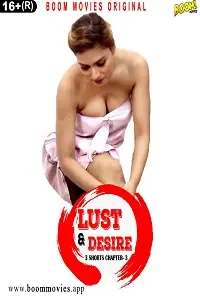 Lust and Desire 3 poster