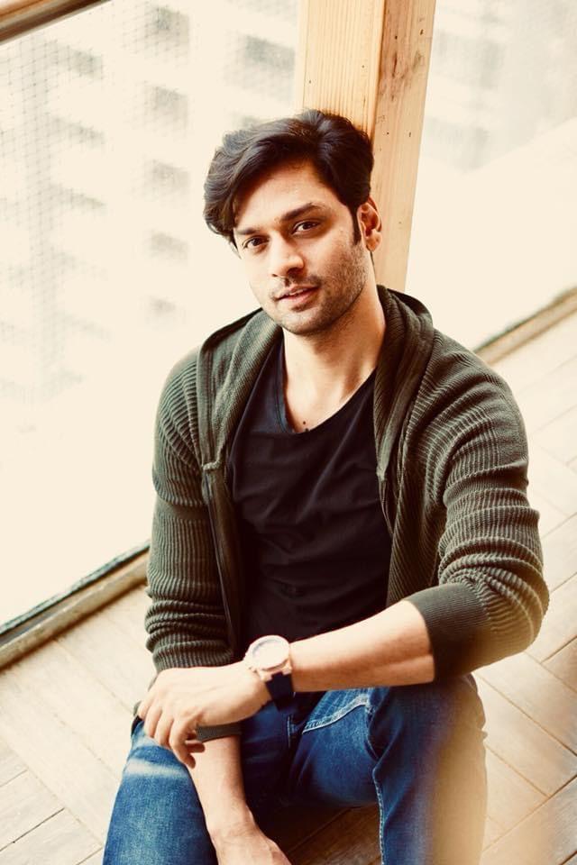 actor Vivek Jaitly large photo