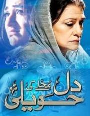 Dil Muhallay Ki Haveli