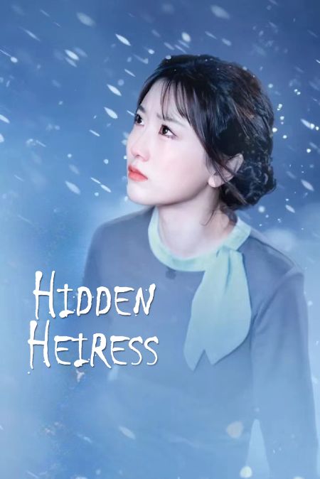 Hidden Heiress poster