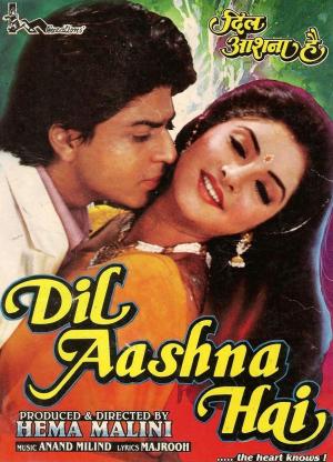 Dil Aashna Hai (...The Heart Knows) [Indonesian]