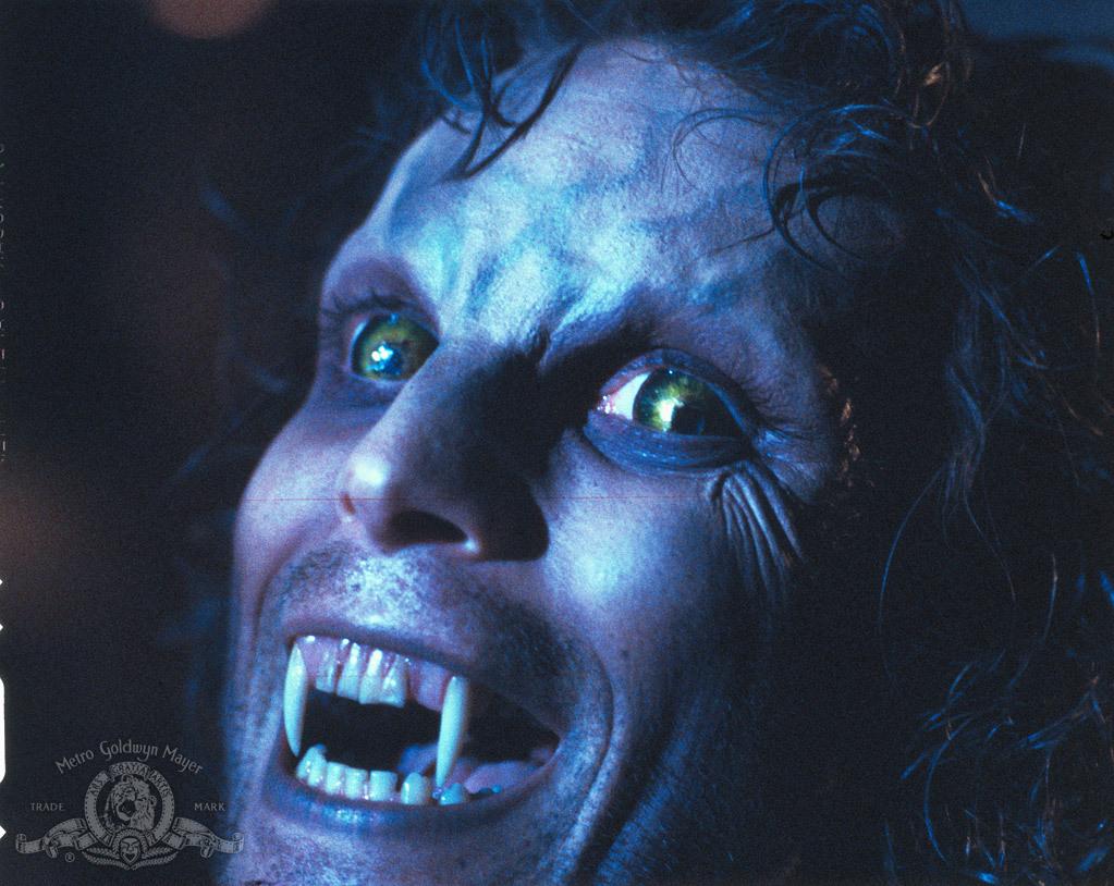 actor Don McLeod large photo