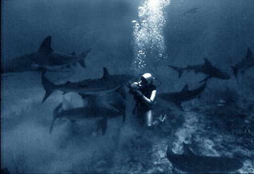 actor Jeremiah S. Sullivan large photo