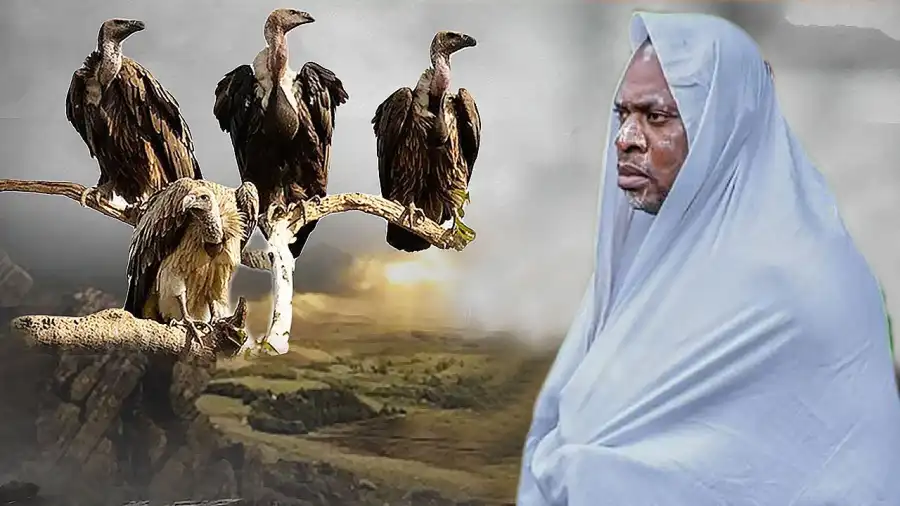 oku alaso