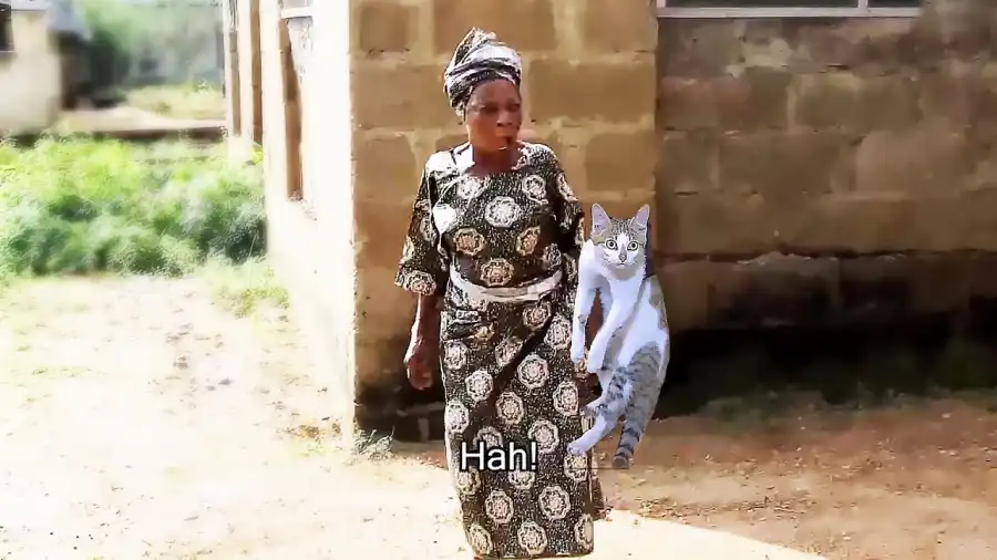 olongbo iya gbonkan