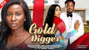 gold digger - sflix