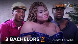 3 bachelors