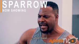 sparrow