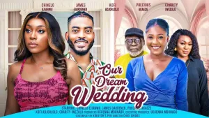 our dream wedding