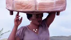 asilo agbara