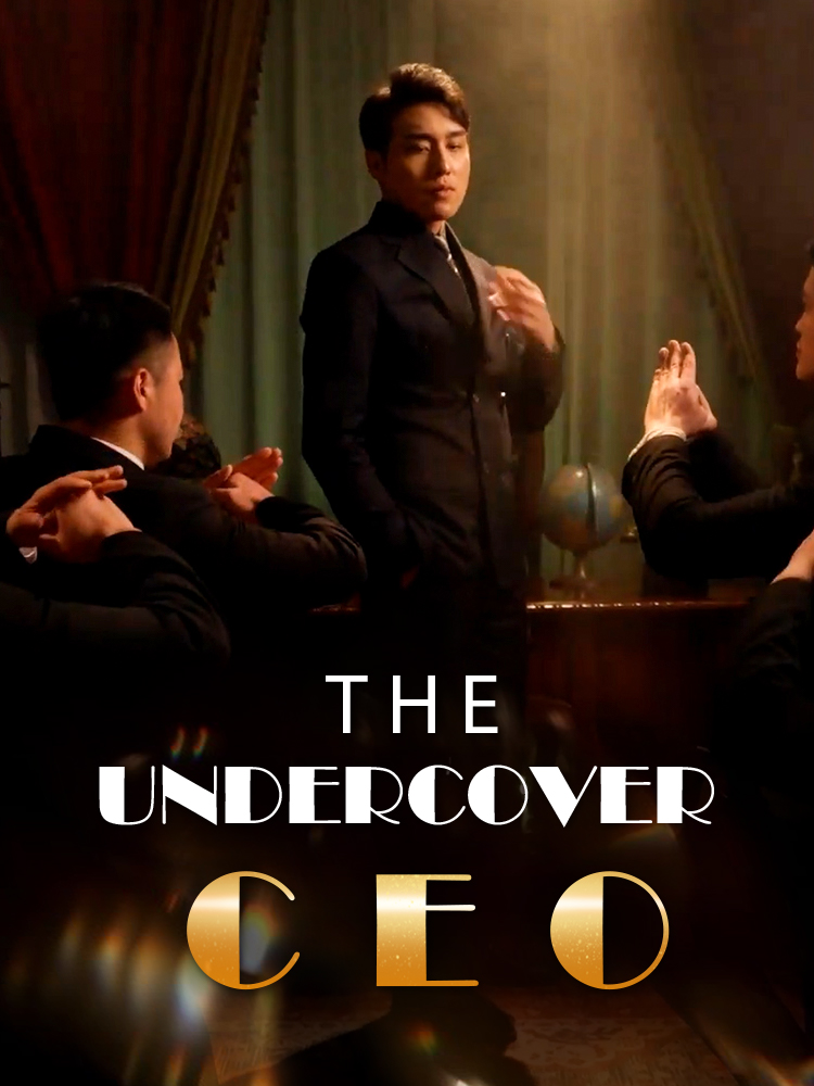 The Undercover Ceo poster