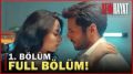 Yeni Hayat Full Bölüm