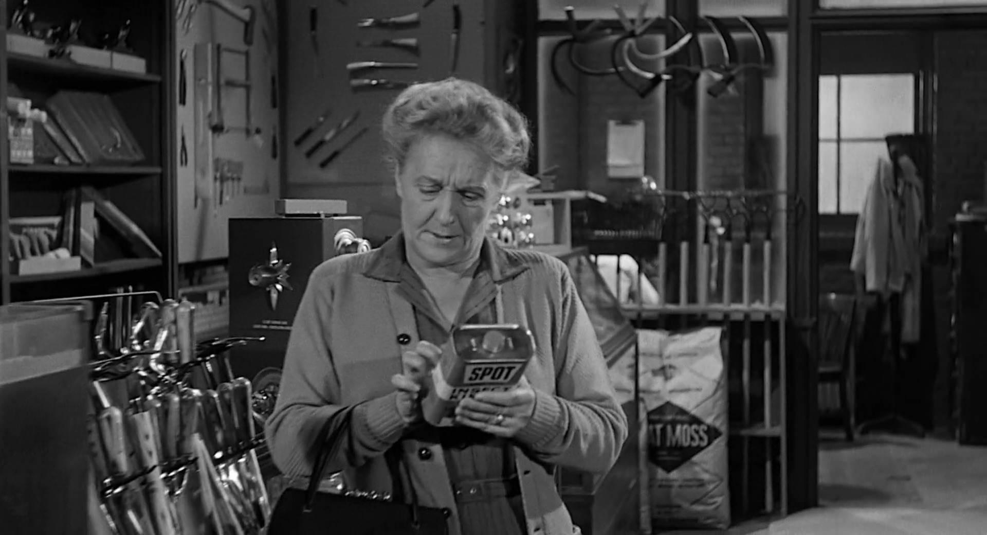 actor Helen Wallace large photo