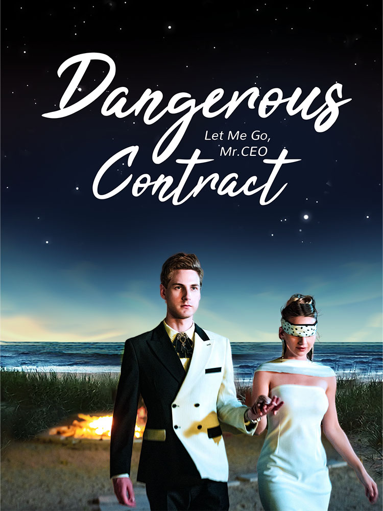 Dangerous Contract poster