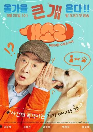 Dog Knows Everything [Russian]