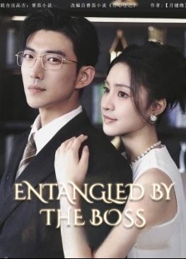 Entangled by the Boss poster