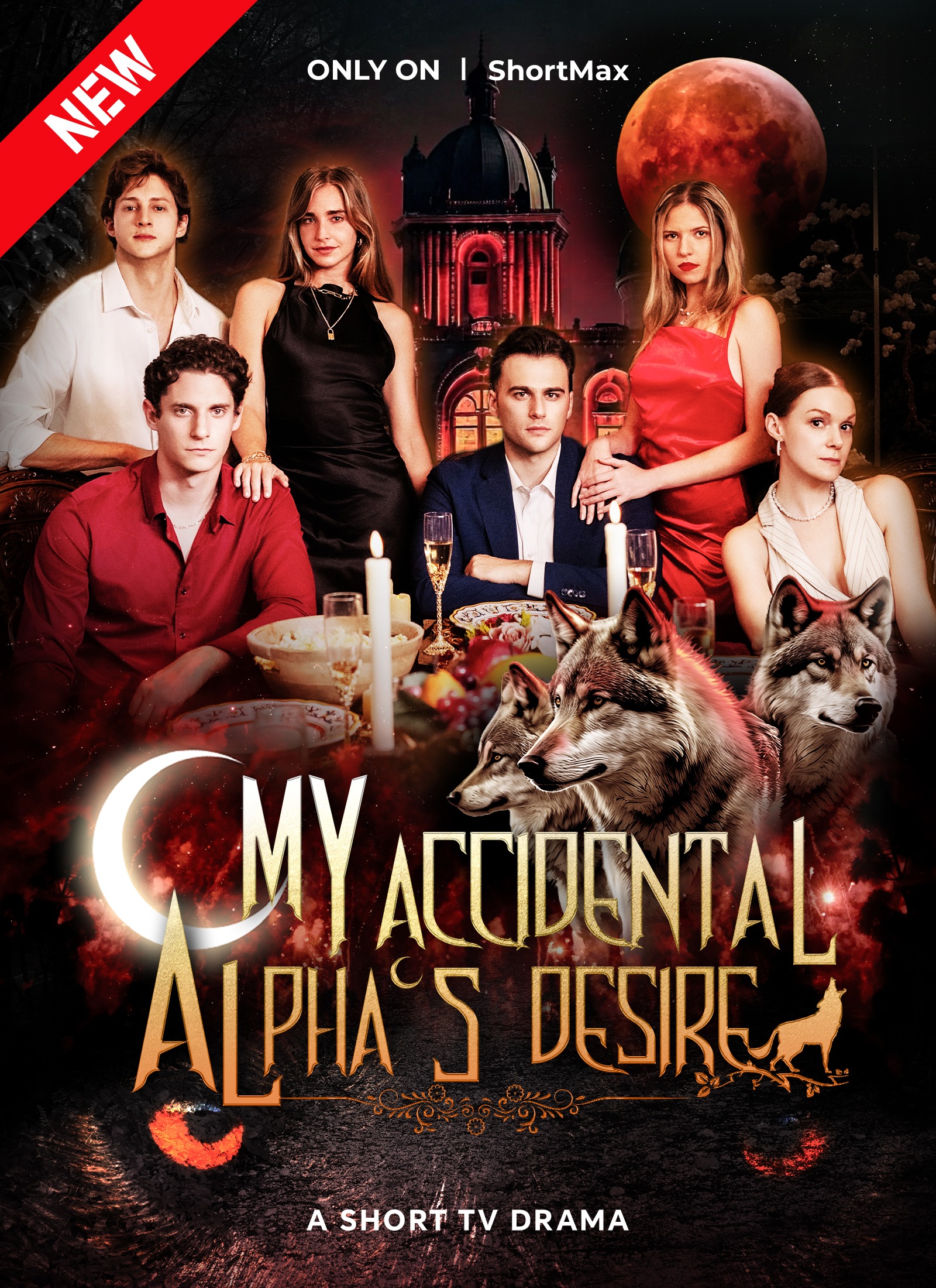 My Accidental Alphas Desire poster