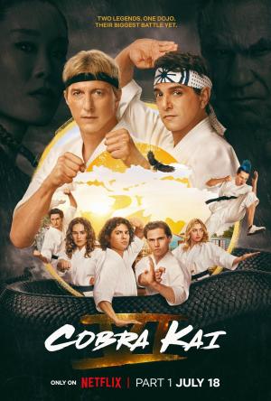 Cobra Kai [Hindi] S1-S6