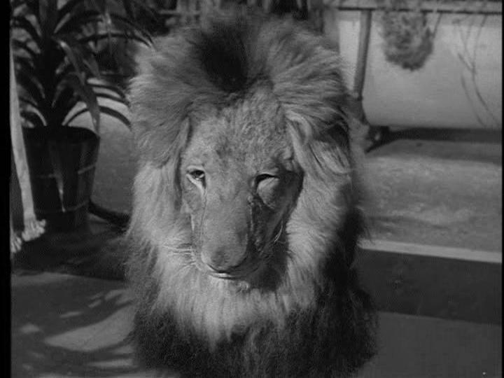 actor Clarence large photo