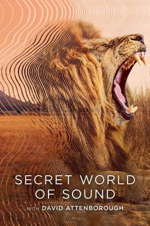 Secret World of Sound with David Attenborough [Version française]