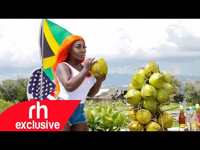 2020 Reggea & ONE DEROP REGGAE Songs Mix -DJ MARINAH /RH EXCLUSIVE