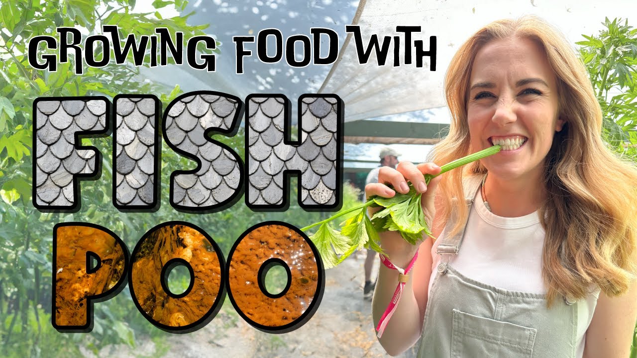 STUFF! Eco-stories of everyday things