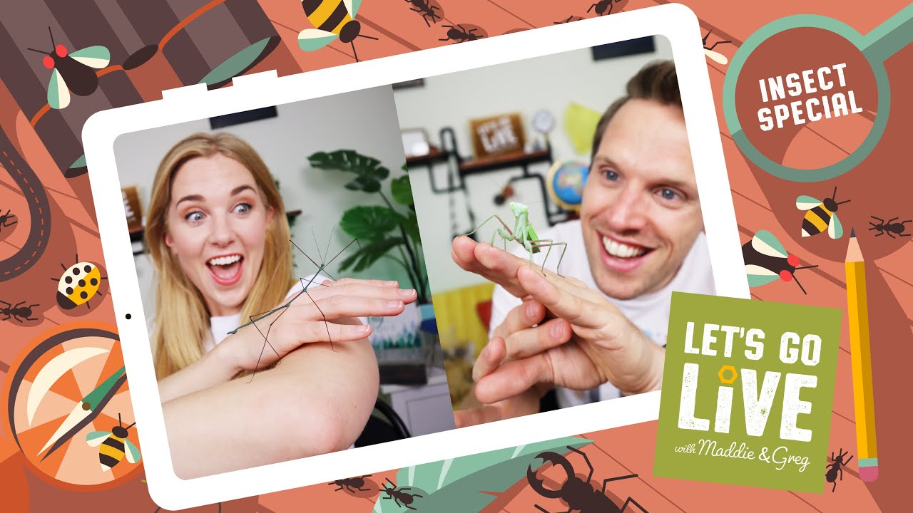 Latest Special Episodes of Let's Go Live #84-87