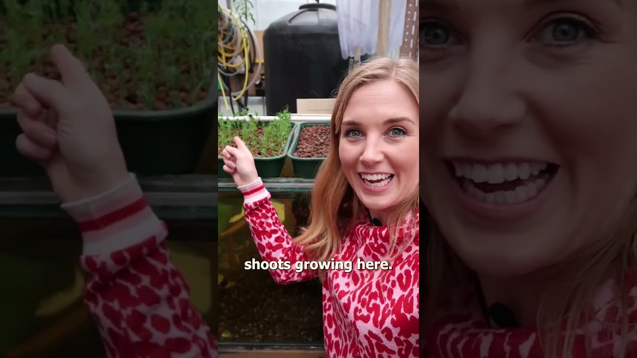 Curious Questions #Shorts