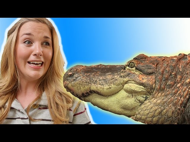 Earth Unplugged - Maddie's Favourites!