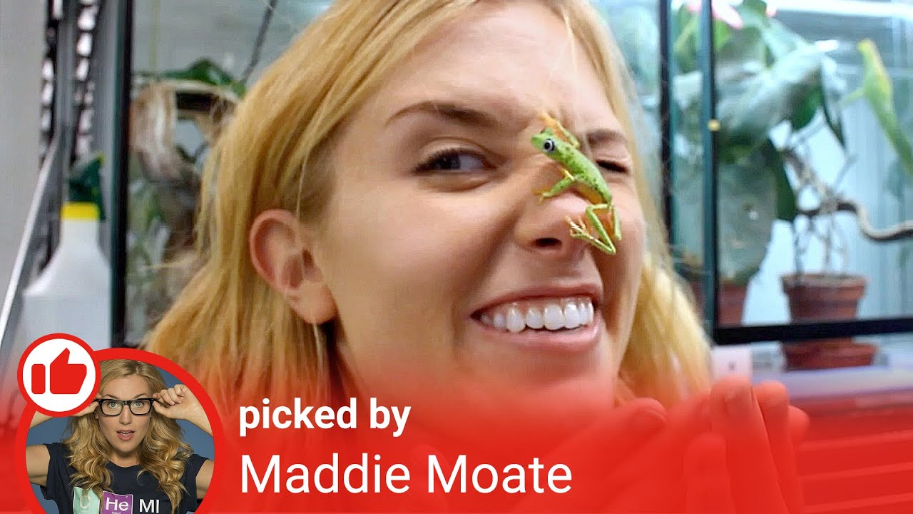 Get Curious! #TodayILearned