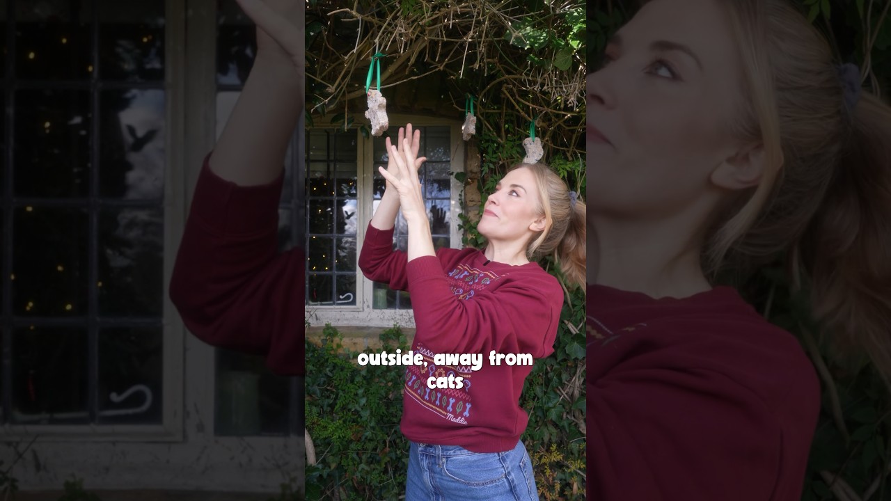 Very Curious Christmas Crafts and Experiments | Maddie Moate #Shorts