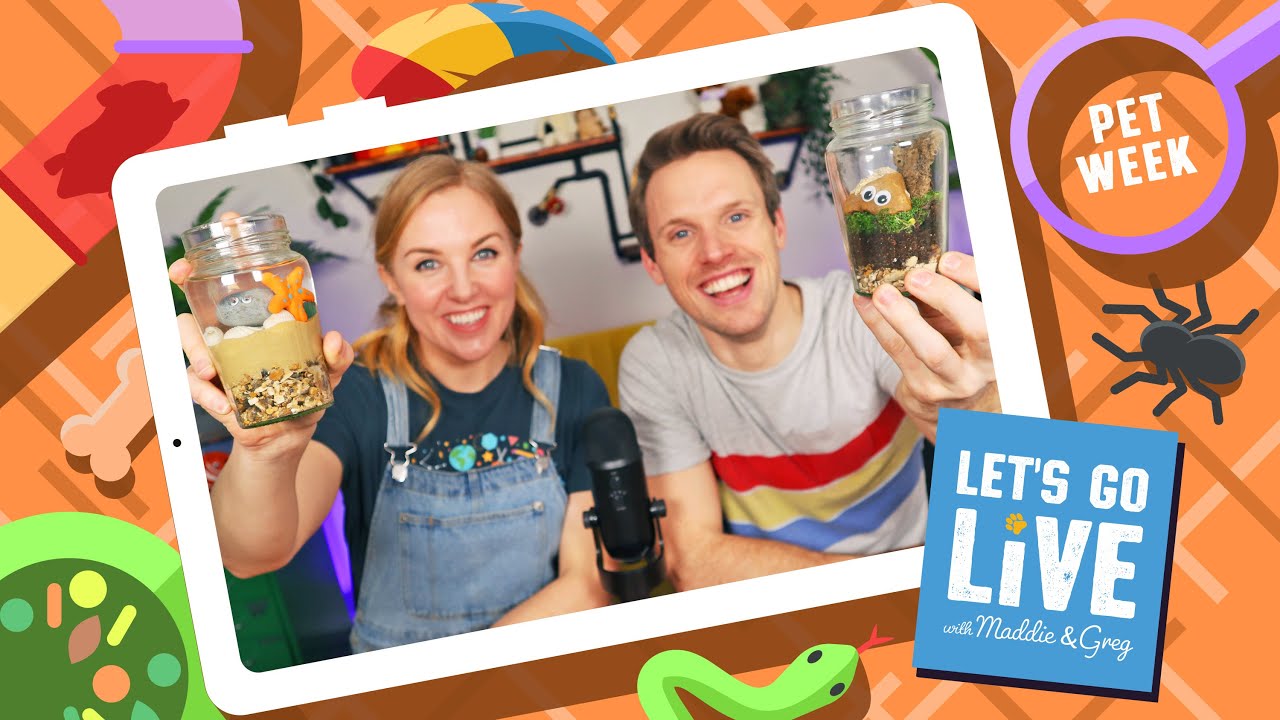 Pet Week | Week 12 of LET'S GO LIVE #65-67