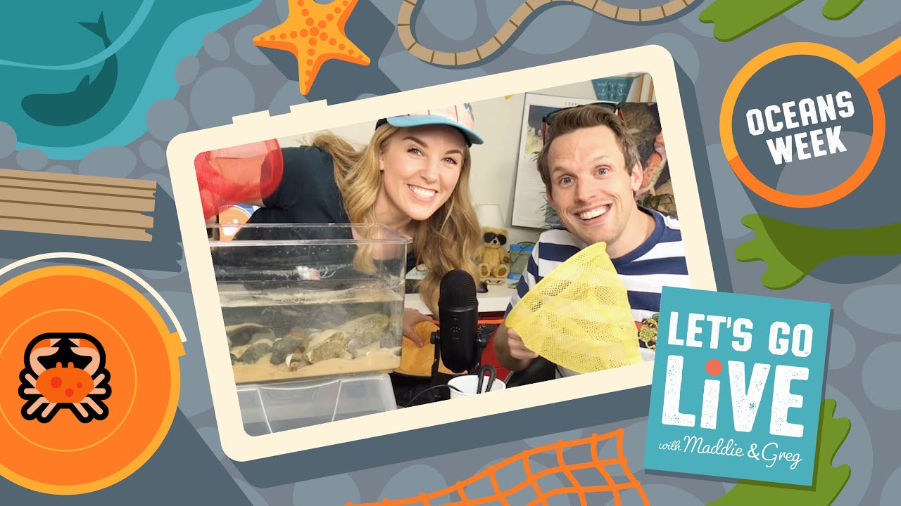 Oceans Week | LET'S GO LIVE #29-33