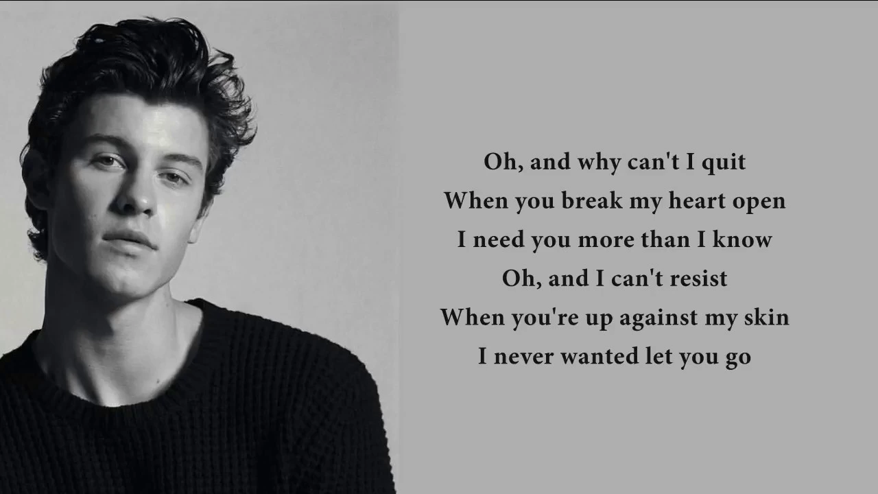 Shawn Mendes - Perfectly Wrong (lyrics) background