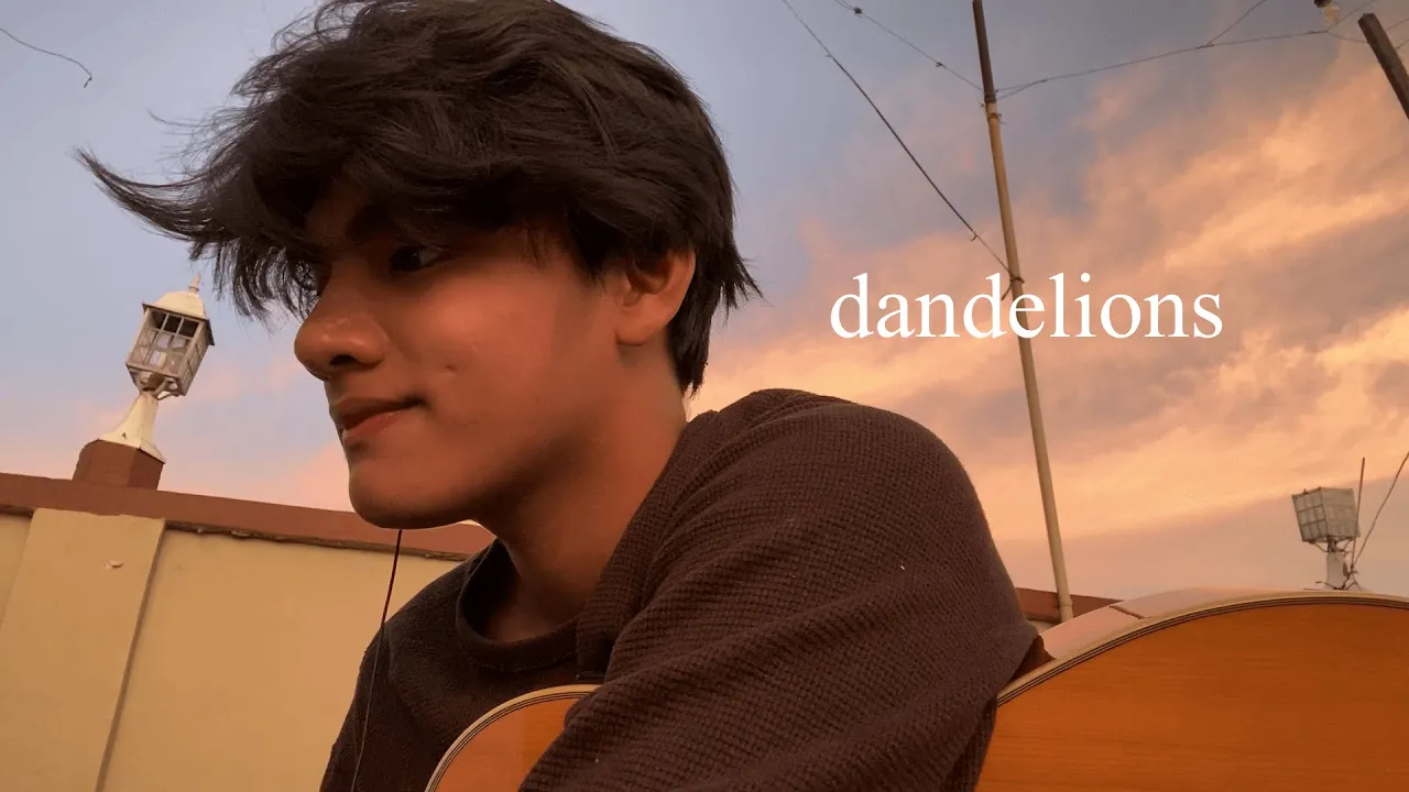 dandelions cover background