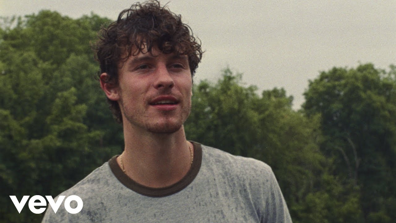 Shawn Mendes - Why Why Why (Official Music Video) background