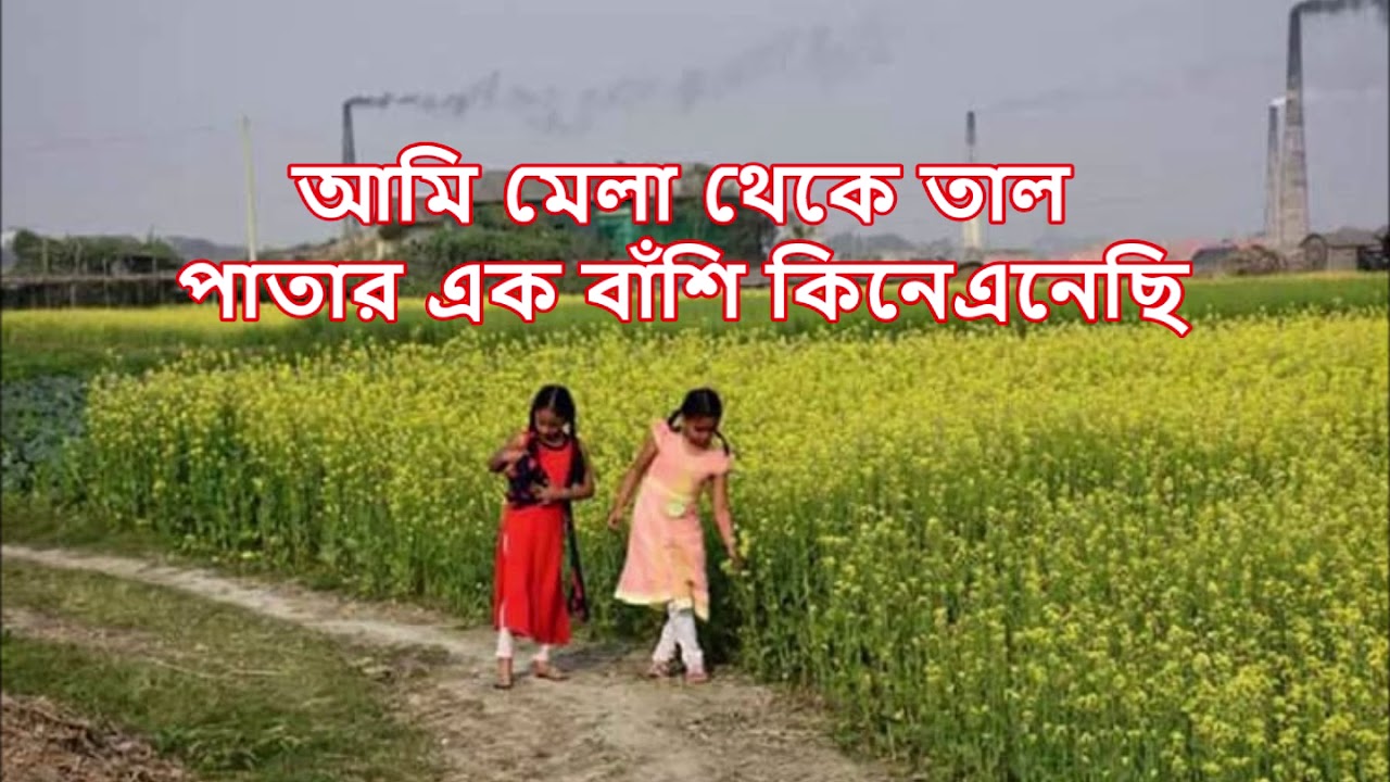 আমি মেলা থেকে তাল পাতার - কনক চাঁপা || Ami Mela Theke Taal Paatar - Kanak Chapa background