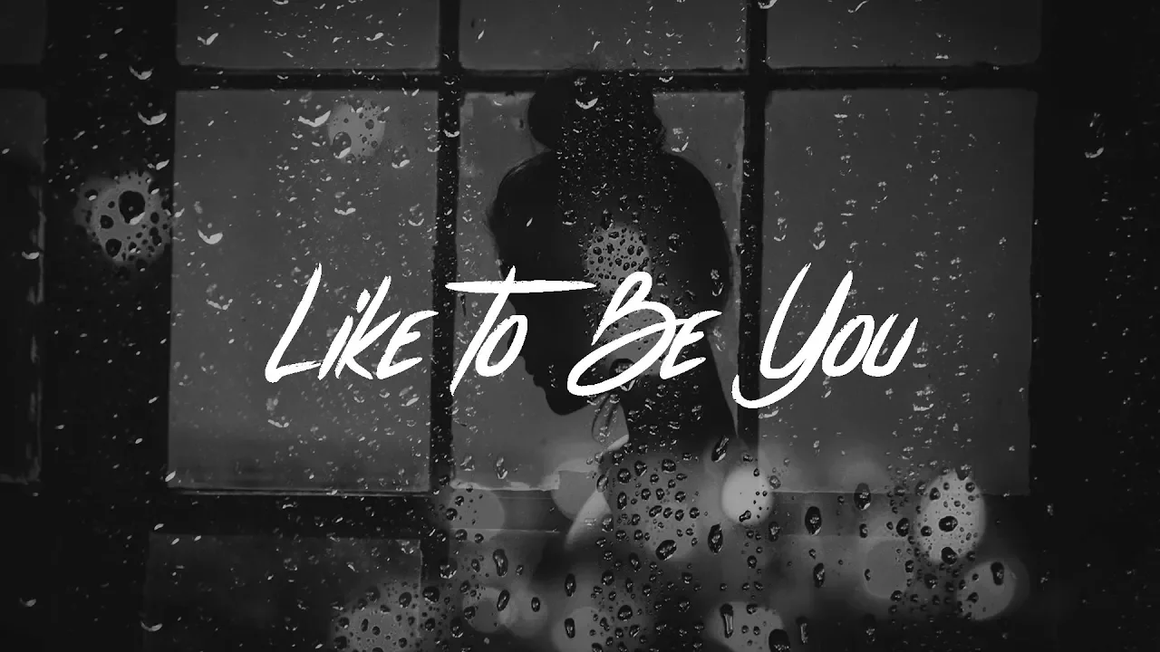 Shawn Mendes - Like To Be You (Lyrics) ft. Julia Michaels background