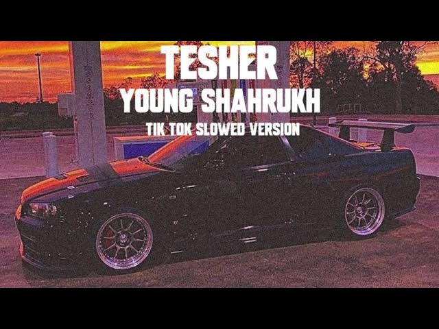 Tesher - YOUNG SHAHRUKH | Tik Tok Slowed Version ( i got 500 dollars in cash ) background