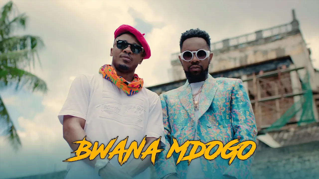 Alikiba feat Patoranking - Bwana Mdogo (Official Music Video) background