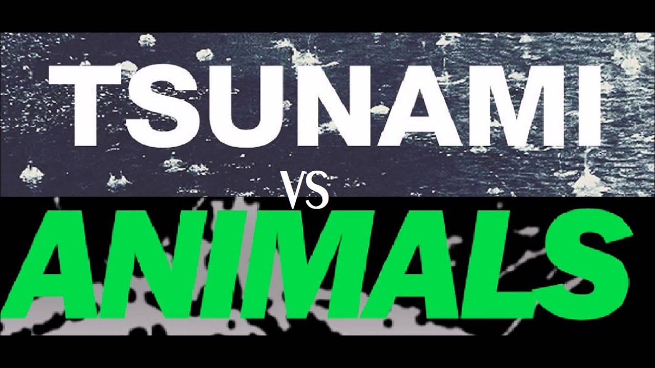 Martin Garrix Animals Vs. DVBBS Tsunami background