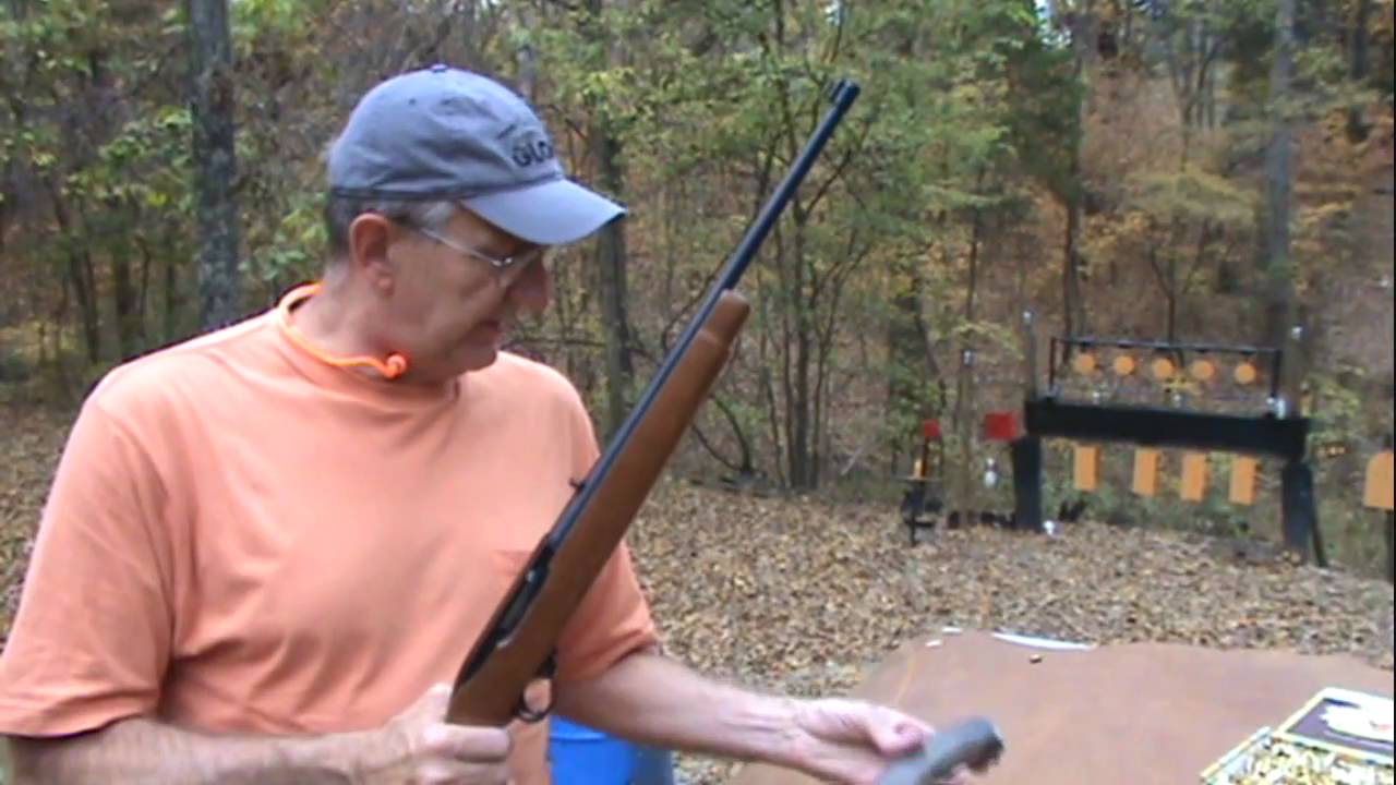 Ruger 10/22 poster — similar to Fela Kuti - Lady