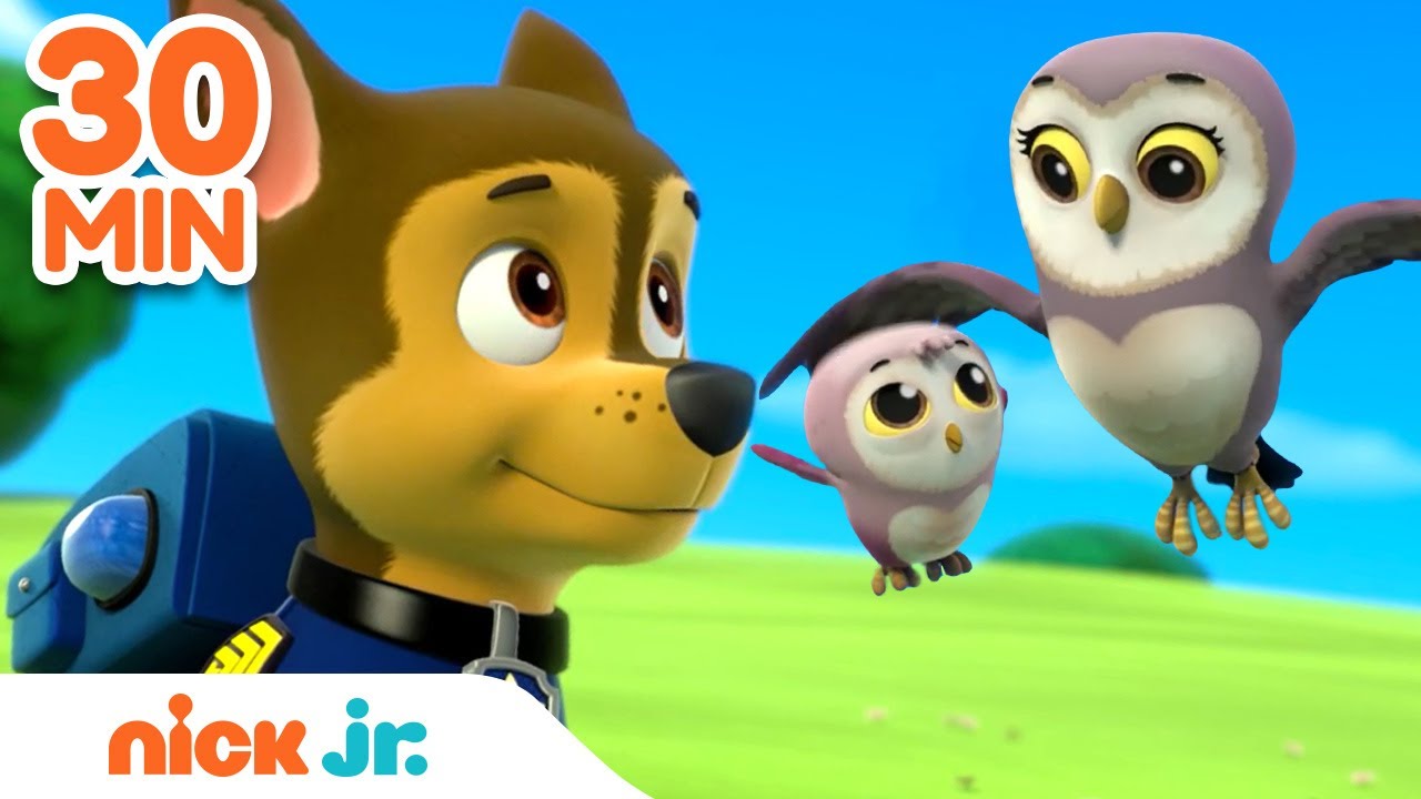 PAW Patrol Mother's Day Rescues! w/ Skye & Chase 🌸 | 30 Minute Compilation | Nick Jr. (2022) | Watch on Movi47