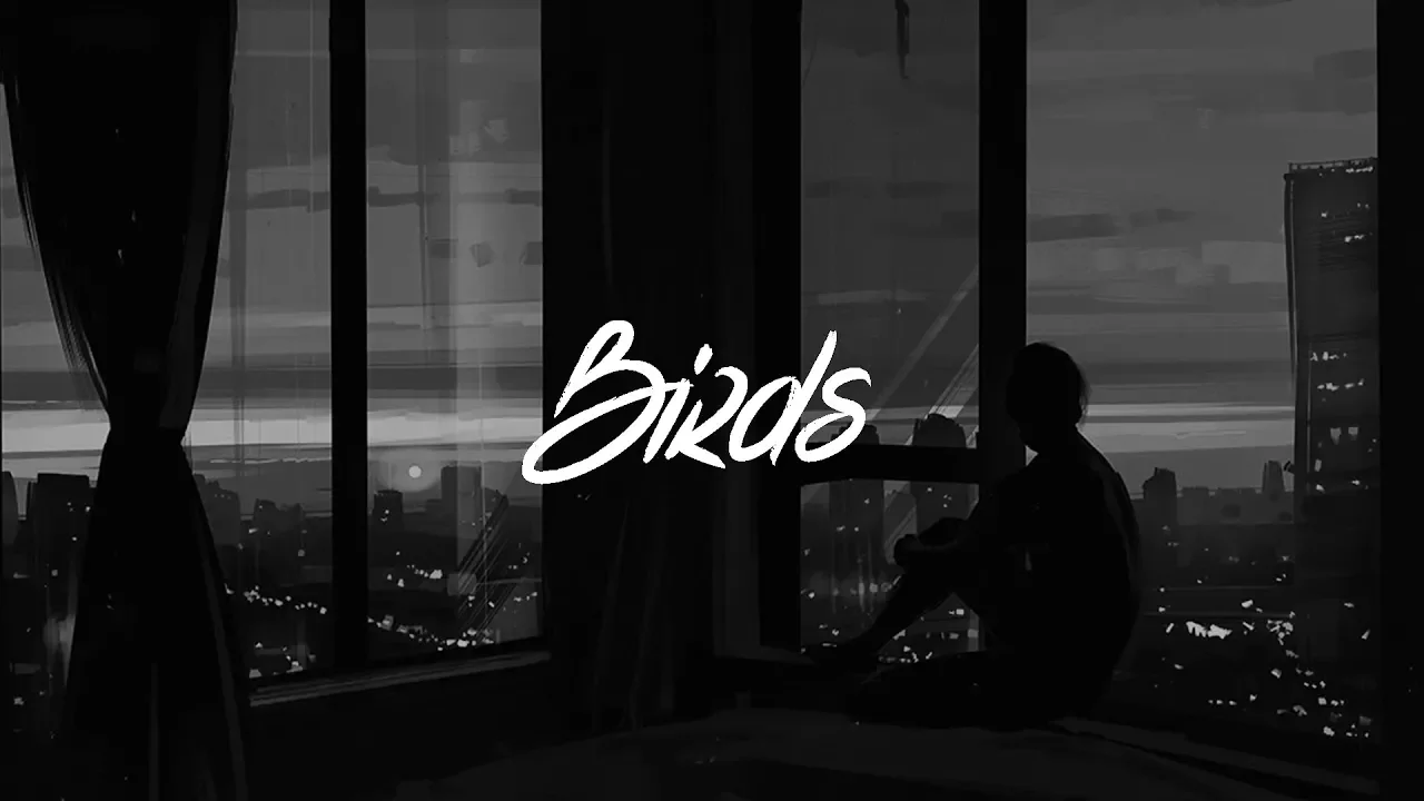Imagine Dragons - Birds (Lyrics) background