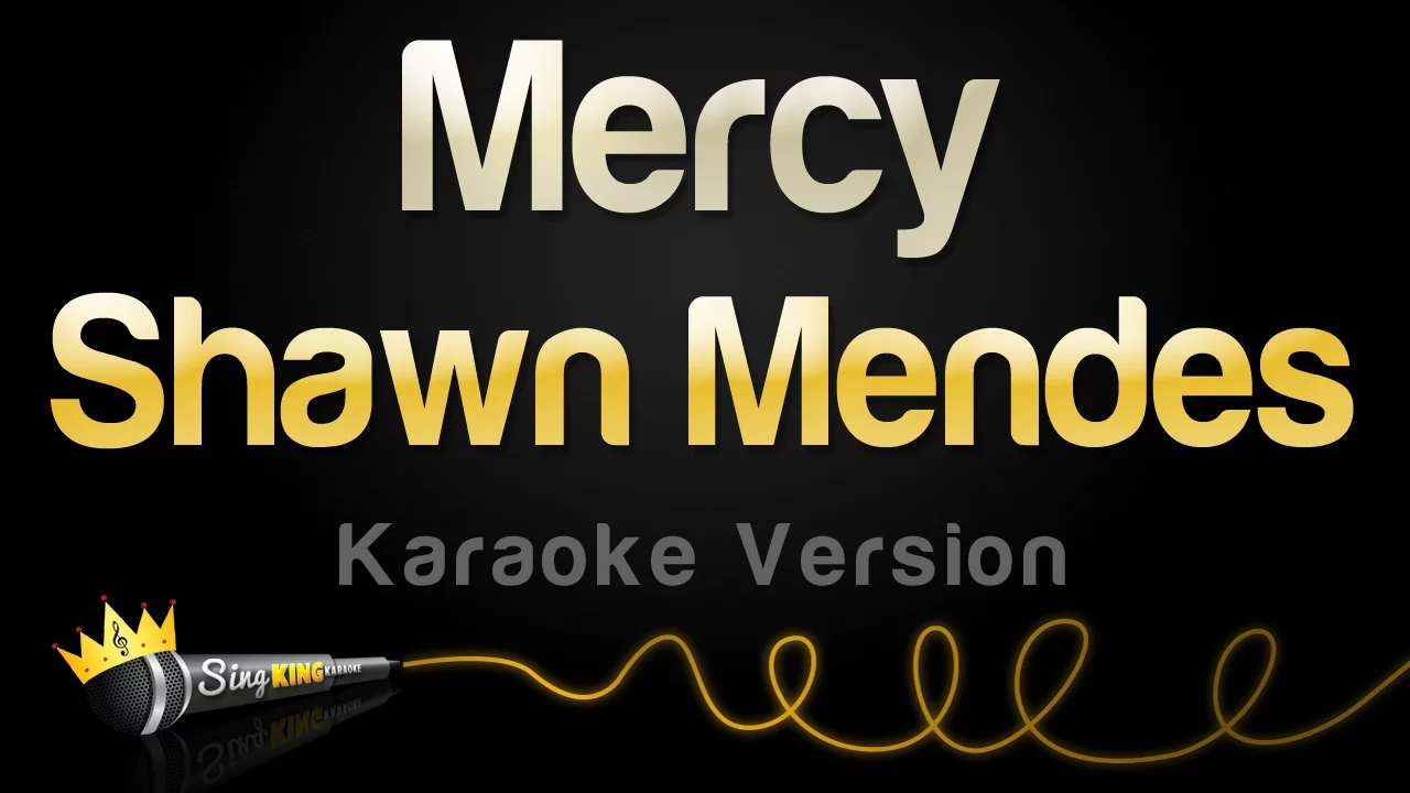 Shawn Mendes - Mercy (Karaoke Version) background